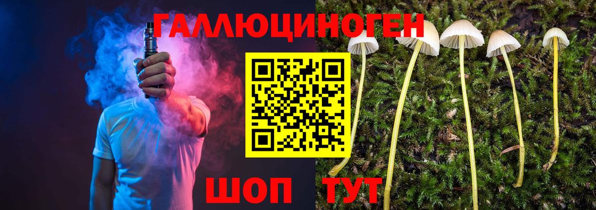 Галлюциногенные грибы прущие грибы Гусев